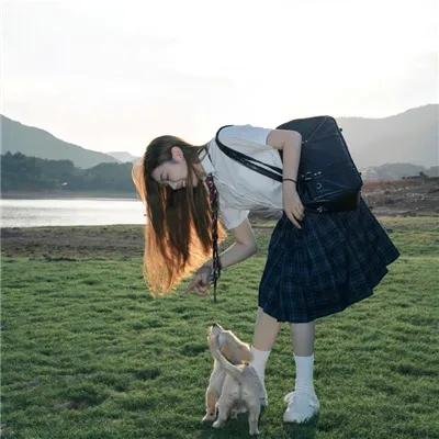 大坏狼